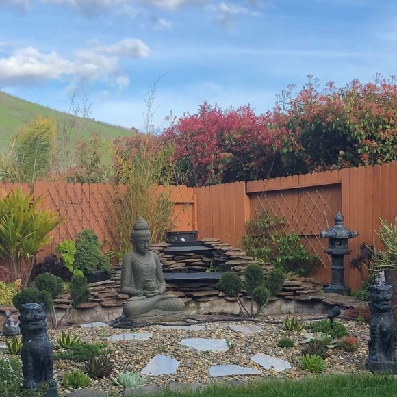 Meet your Posher, Teddi - Picture 2 of 2